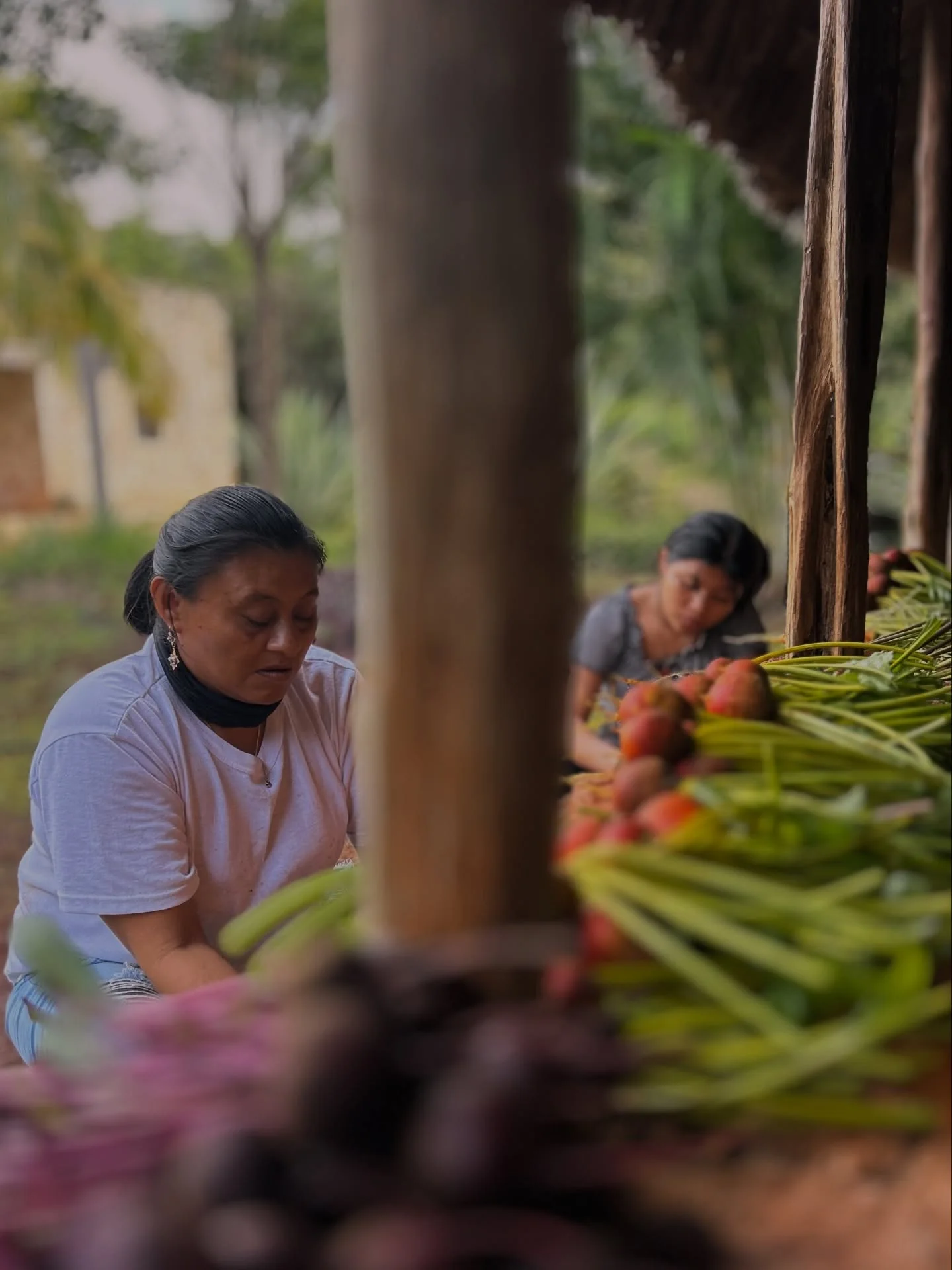 Mujeres trabajando con la cosecha en Mestiza de Indias