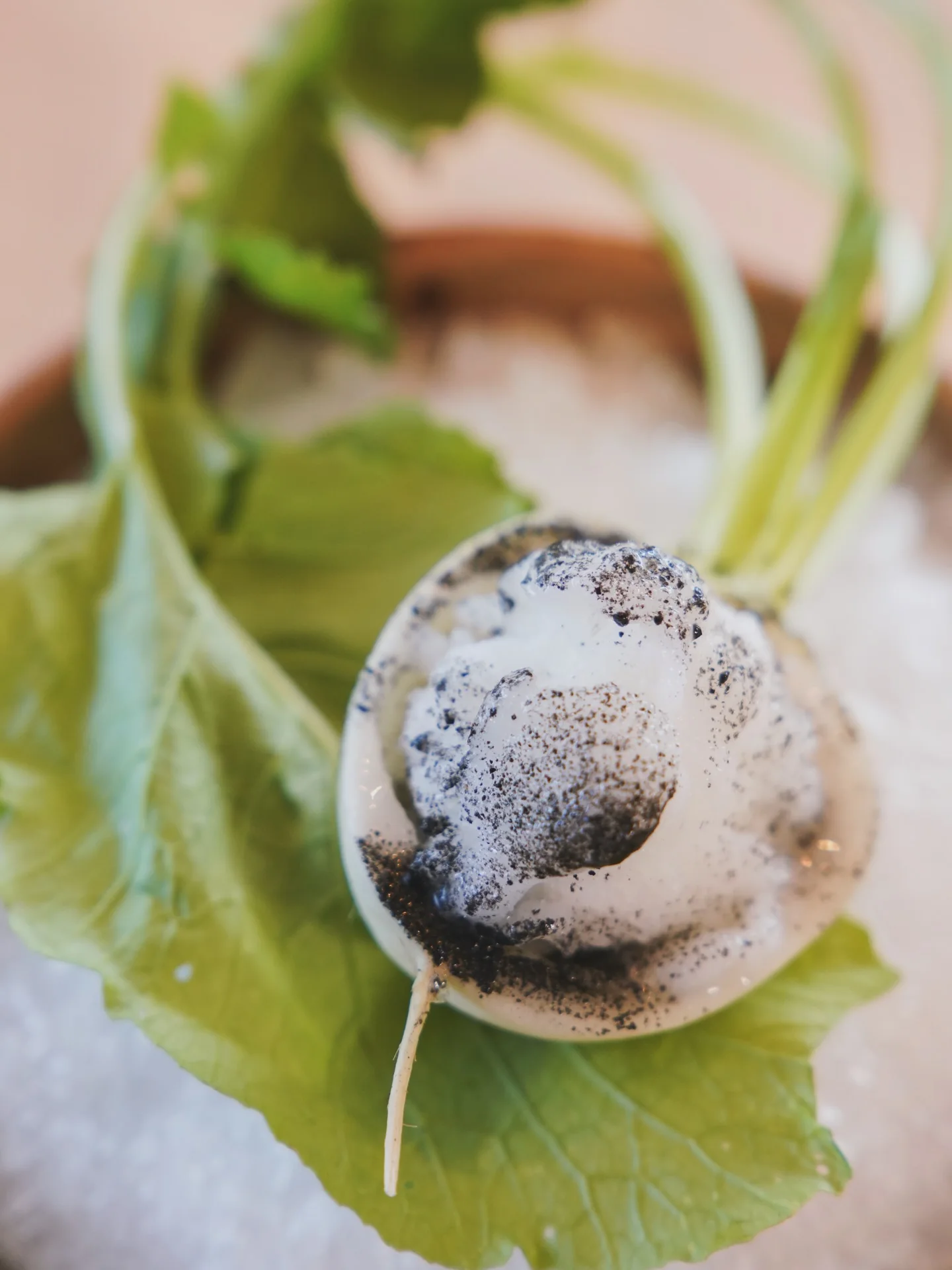 Nabo japonés cultivado por Mestiza de Indias y servido por un chef colaborador